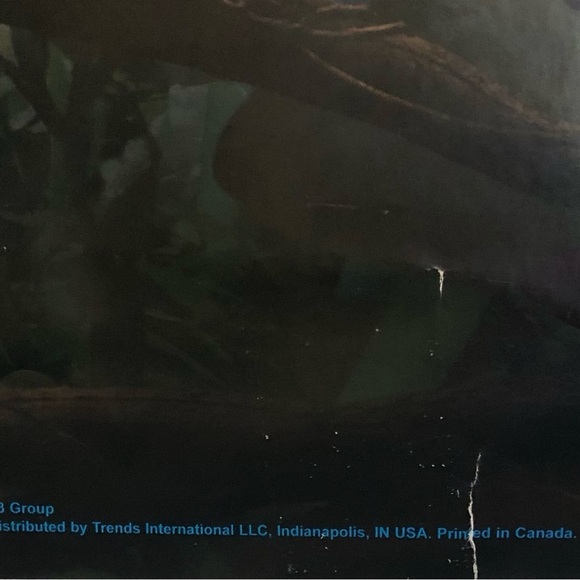 Alice in wonderland triptych posters (2) Disney 22 x 34 2010 EUC Trends Int. - Picture 8 of 13